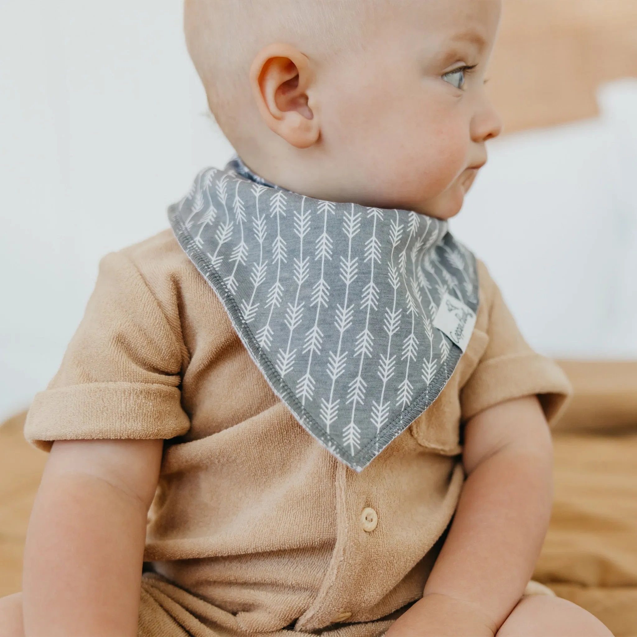 Baby Bandana Bibs - Bridger