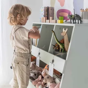 Bookcase & Toy Storage