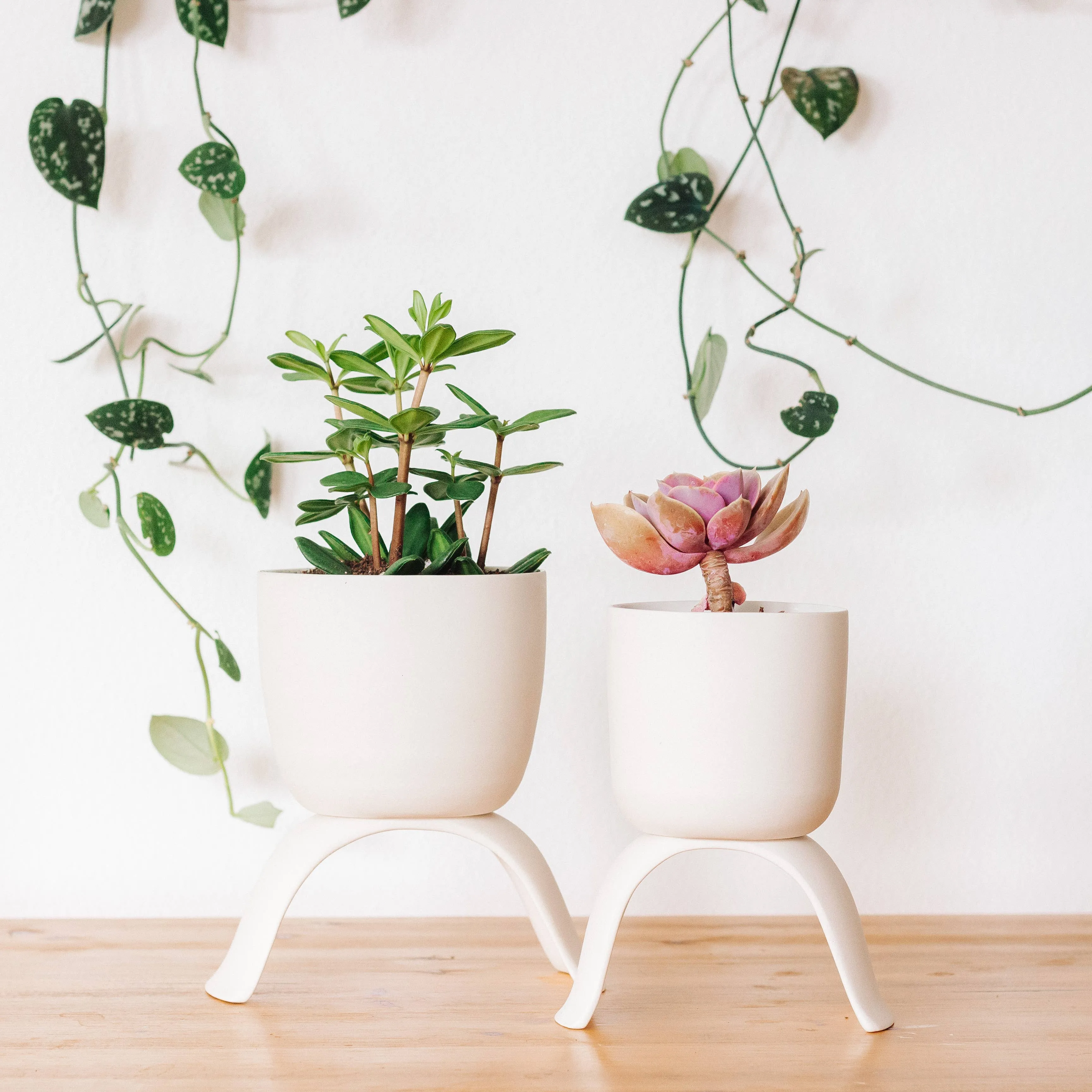 High Rise, Classic Planters: Large (4.5")