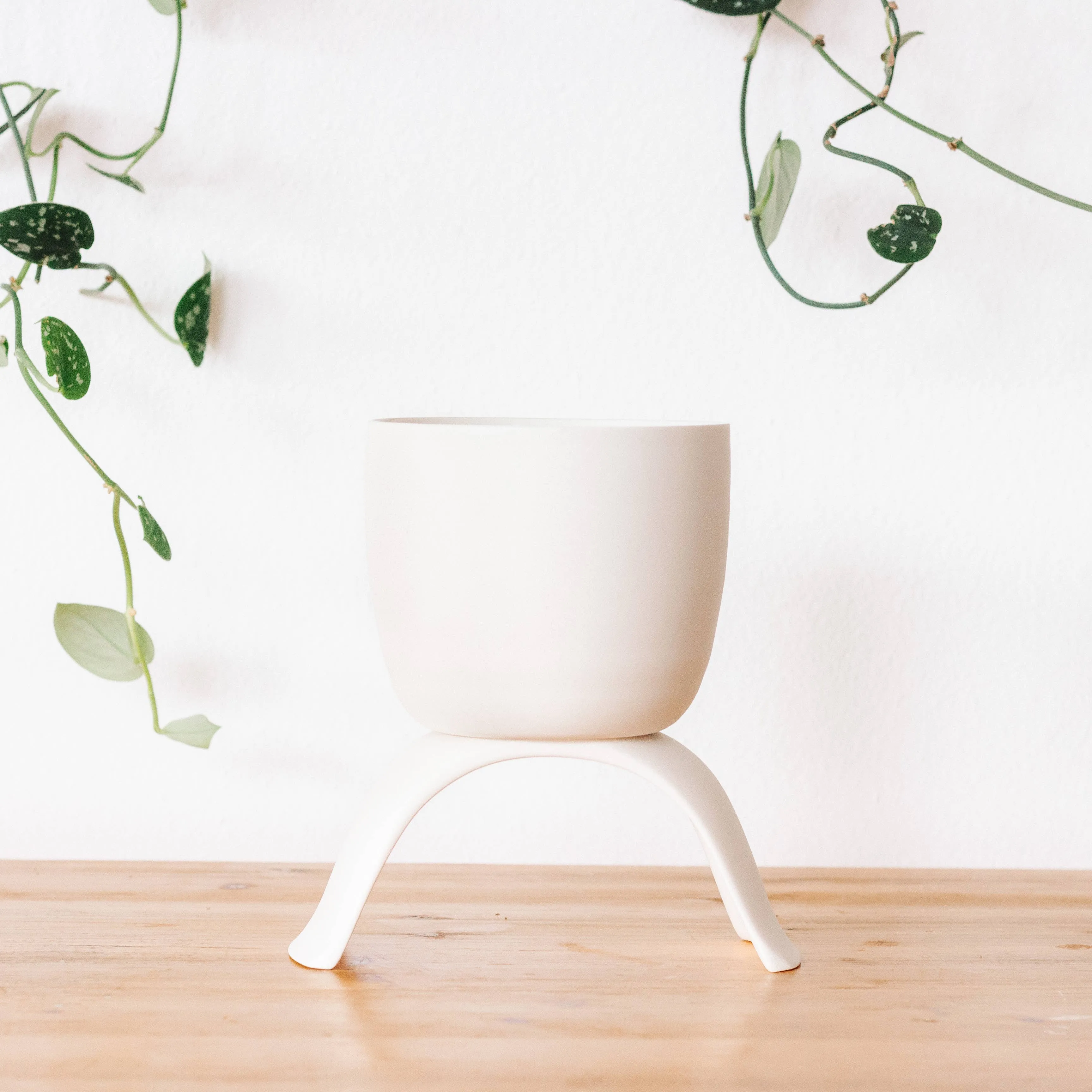 High Rise, Classic Planters: Large (4.5")