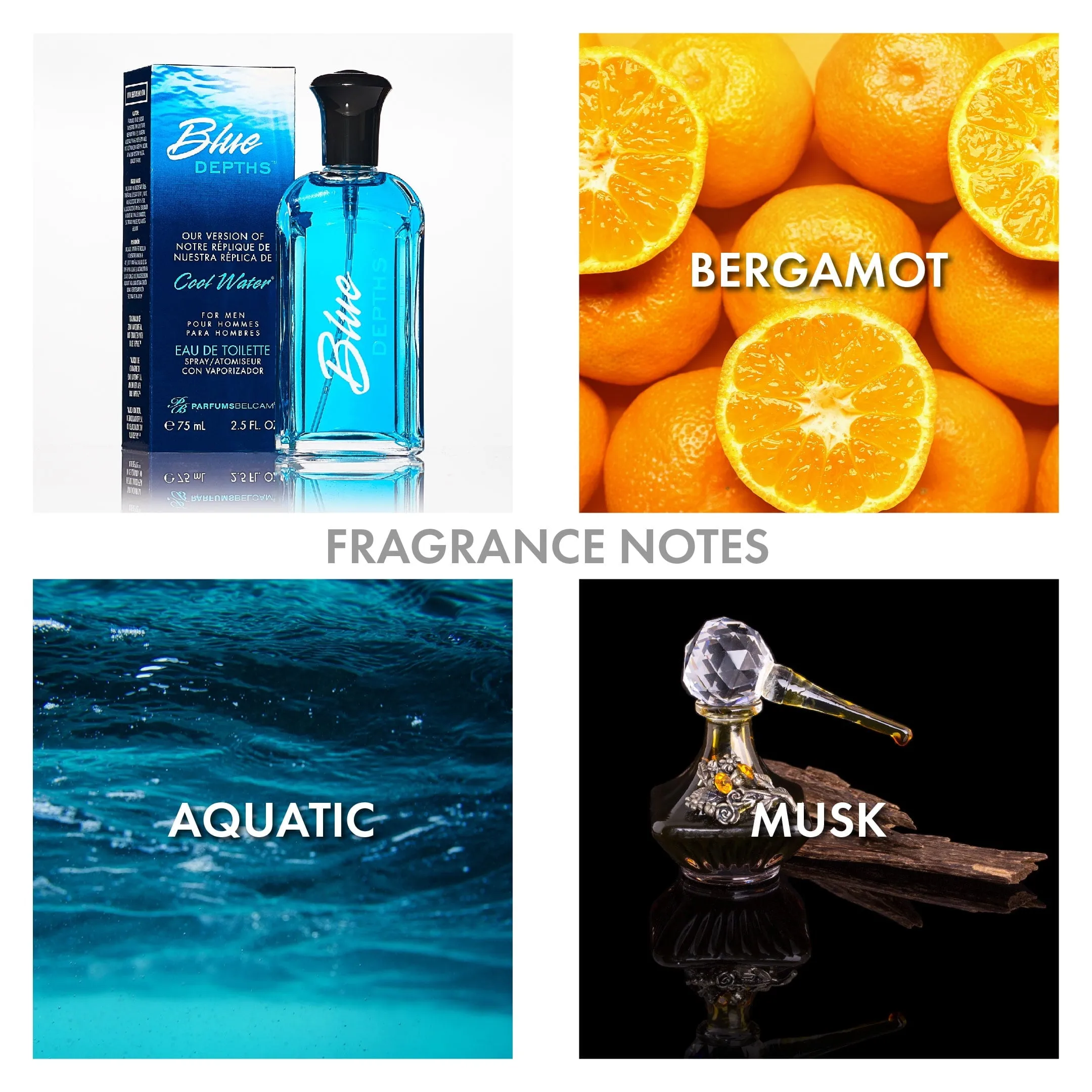 PB ParfumsBelcam Blue Depths Version of Cool Water* Eau De Toilette, Cologne