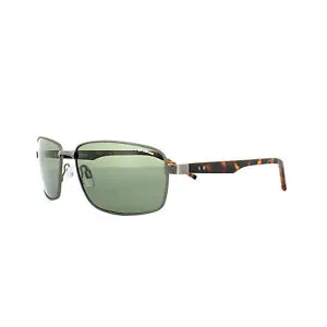 Polaroid Core Sunglasses PLD 2041/S