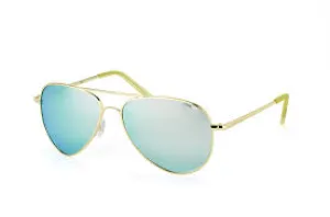 Polaroid Core Sunglasses PLD 6012/N