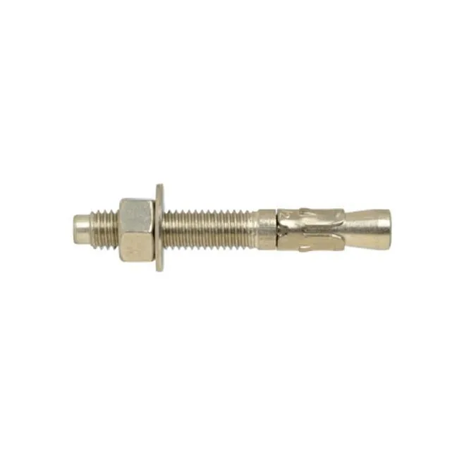 Stainless Steel Concrete Wedge Anchors - Each