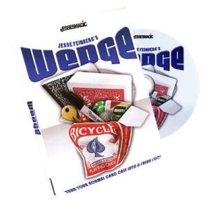Wedge by Jesse Feinberg